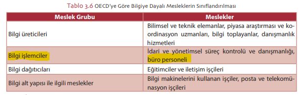  OECD’ye Göre Bilgiye Dayalı Mesleklerin Sınıflandırılması