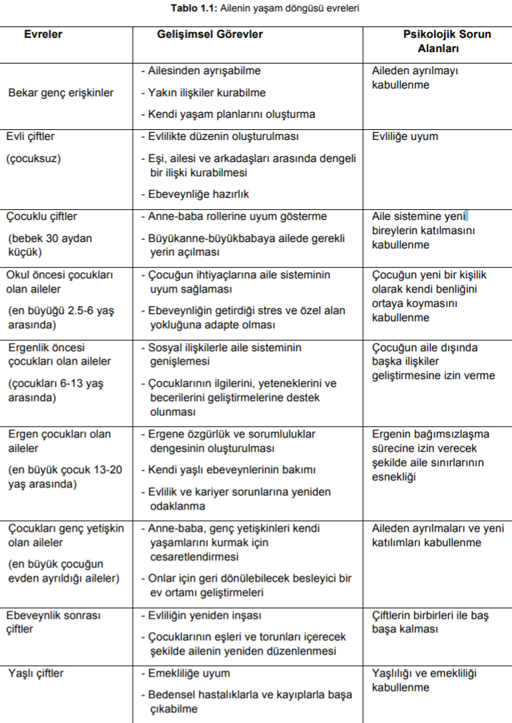 Aile yaşam döngüsü evreleri