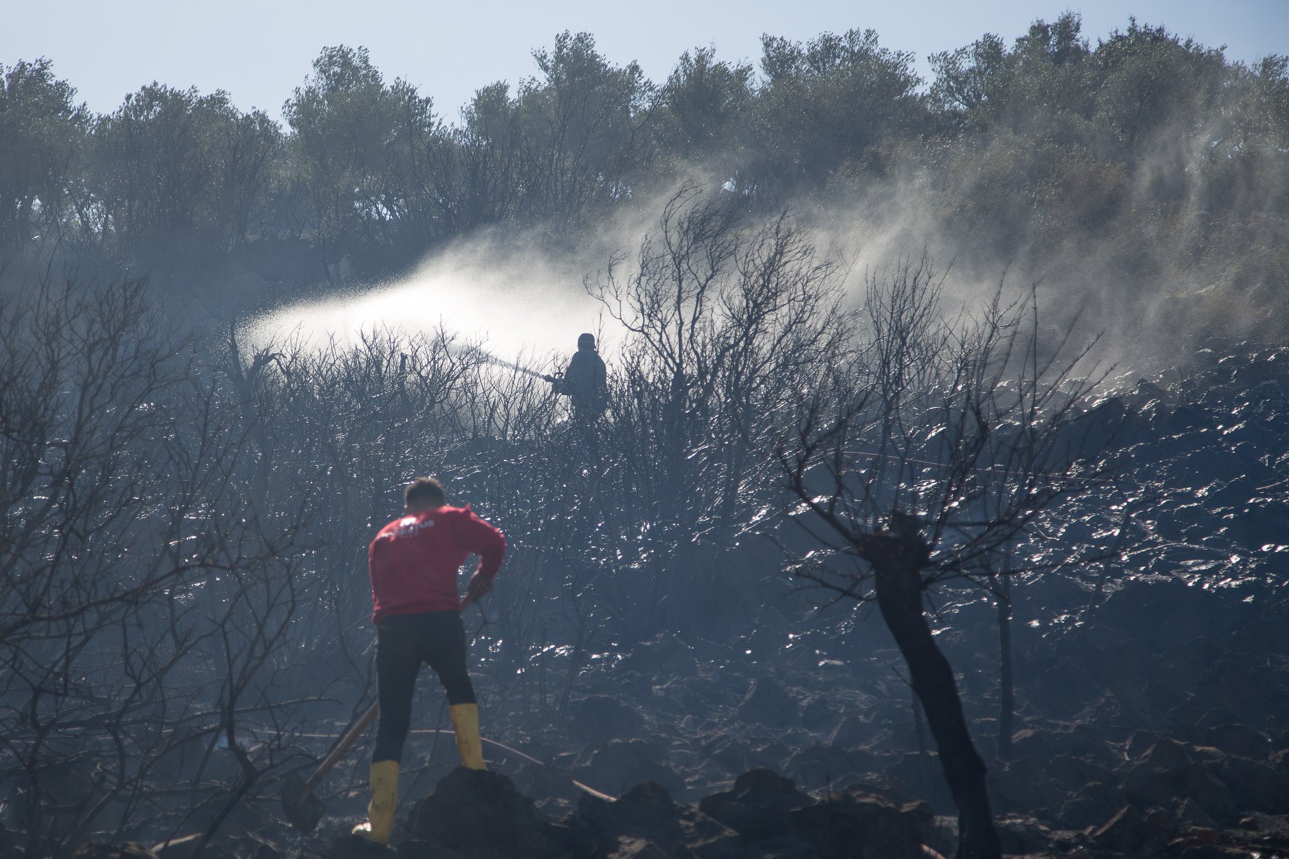 Fotoğraf: Devrim ÇELEBİ