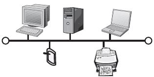 Veri yolu topolojisi
