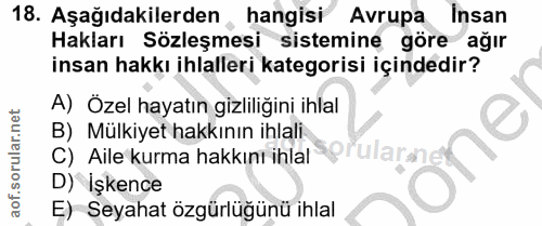 18. soru: Aşağıdakilerden , hangisi Avrupa Insan Hakları Sözleşmesi sistemine göre ağır insan hakkı ihlalleri kategorisi içinde…
