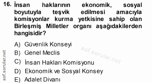 16. soru: Insan haklarının ekonomik, sosyal boyutuyla teşvık edilmesi amacıyla komisyonlar kurma yetkisine sahip olan Birleşmiş…