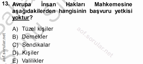 13. soru: Avrupa insan Hakları Mahkemesine aşağıdakilerden hangisinin başvuru yetkisi yoktur? A) Tüzel kişiler B) Dernekler S C…