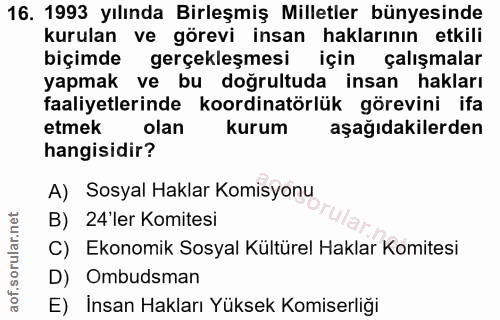 16. soru: 1993 yılında Birleşmiş Milletler bünyesinde kurulan ve görevi insan haklarının etkili biçimde gerçekleşmesi için çalı…