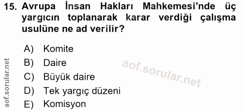 15. soru: Avrupa Insan Hakları Mahkemesi'nde üç yargıcın toplanarak karar verdiği çalışma usulüne ne ad verilir? A) Komite B) D…