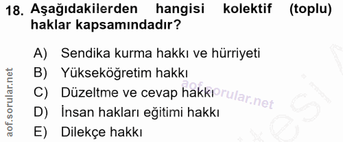 18. soru: Aşağıdakilerden hangisi kolektif (toplu) haklar kapsamındadır? A) Sendika kurma hakkı ve hürriyeti B) Yükseköğretim h…