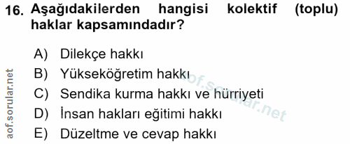 16. soru: Aşağıdakilerden hangisi kolektif (toplu) haklar kapsamındadır? A) Dilekçe hakkı B) Yükseköğretim hakkı C) Sendika kur…