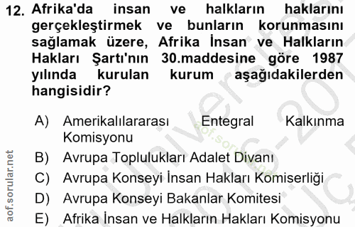 12. soru: Afrika'da insan ve halkların haklarını gerçekleştirmek ve bunların korunmasını sağlamak üzere, Afrika İnsan ve Halkla…