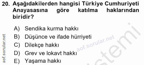 20. soru: Aşağıdakilerden hangisi Türkiye Cumhuriyeti Anayasasına göre katılma haklarından biridir? A) Sendika kurma hakkı B) D…