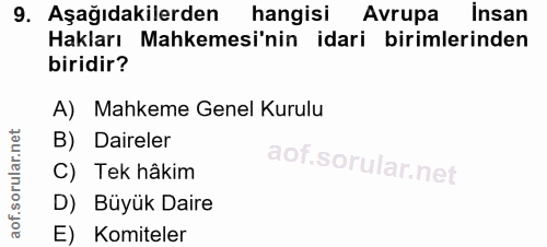 9. soru: Aşağıdakilerden hangisı Avrupa İnsan Hakları Mahkemesi'nin idari birimlerinden biridir? A) Mahkeme Genel Kurulu B) Da…