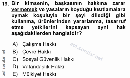 19. soru: Bir kimsenin, başkasının hakkına zarar vermemek ve yasaların koyduğu kısıtlamalara uymak koşuluyla bir şeyi dilediği…