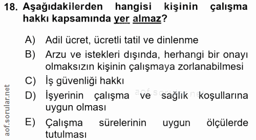 18. soru: Aşağıdakilerden hangisi kişinin çalışma hakkı kapsamında yer almaz? A) Adil ücret, ücretli tatil ve dinlenme B) Arzu…