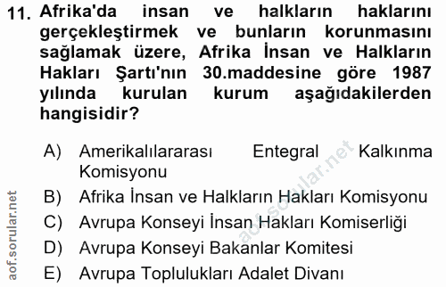 11. soru: Afrika'da insan ve halkların haklarını gerçekleştirmek ve bunların korunmasını sağlamak üzere, Afrika İnsan ve Halkla…