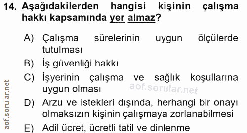 14. soru: Aşağıdakilerden hangisi kişinin çalışma hakkı kapsamında yer almaz? A) Çalışma sürelerinin uygun ölçülerde tutulması…