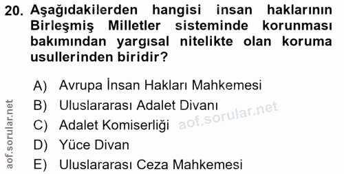 20. soru: Aşağıdakilerden hangisi insan haklarının Birleşmiş Milletler sisteminde korunması bakımından yargısal nitelikte olan…