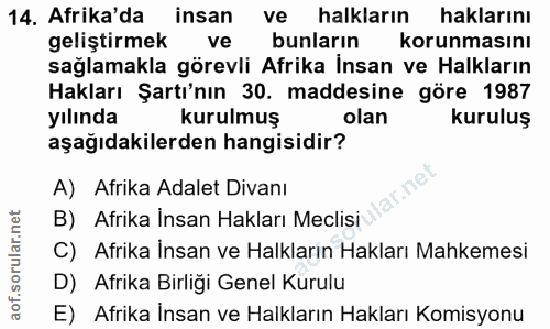 14. soru: Afrika'da insan ve halkların haklarını geliştirmek ve bunların korunmasını sağlamakla görevli Afrika İnsan ve Halklar…