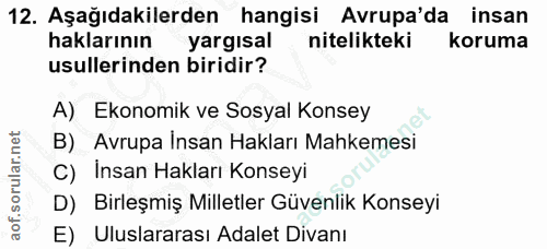 12. soru: Aşağıdakilerden hangisi Avrupa'da insan haklarının yargisal nitelikteki koruma usullerinden biridir? A) Ekonomik ve S…