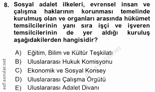 8. soru: Sosyal adalet ilkeleri, evrensel insan ve çalışma haklarının korunması temelinde kurulmuş olan ve organları arasında…