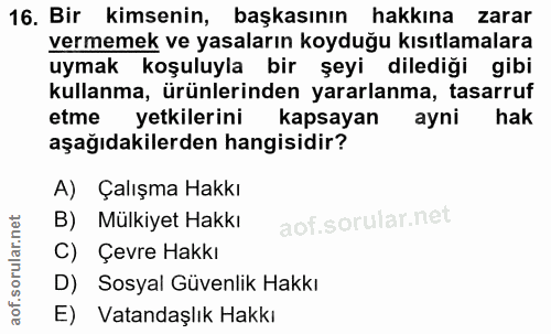 16. soru: Bir kimsenin, başkasının hakkına zarar vermemek ve yasaların koyduğu kısıtlamalara uymak koşuluyla bir şeyi dilediği…
