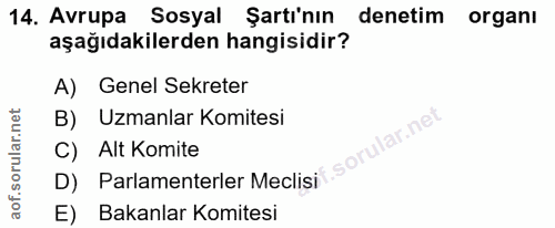 14. soru: Avrupa Sosyal Şartı'nın denetim organı aşağıdakilerden hangisidir? A) Genel Sekreter B) Uzmanlar Komitesi C) Alt Komi…