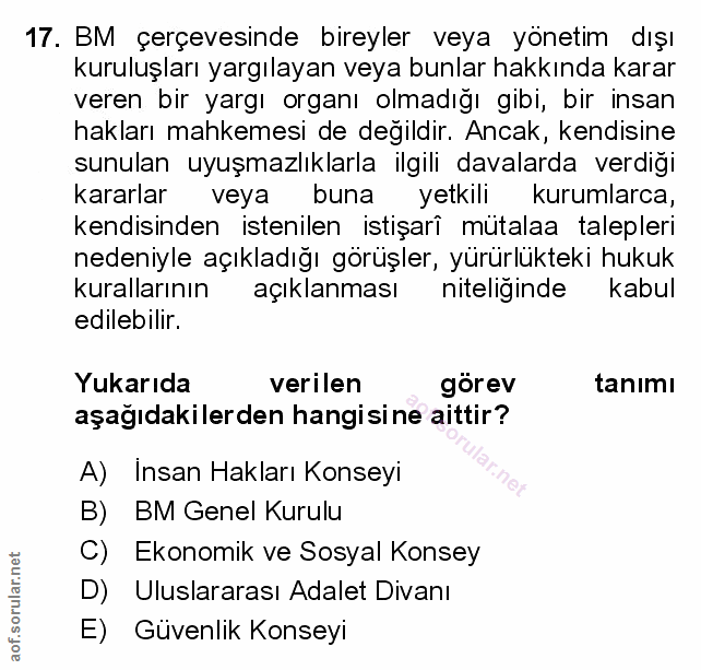 17. soru: BM çerçevesinde bireyler veya yönetim dışı kuruluşları yargılayan veya bunlar hakkında karar veren bir yargı organı o…