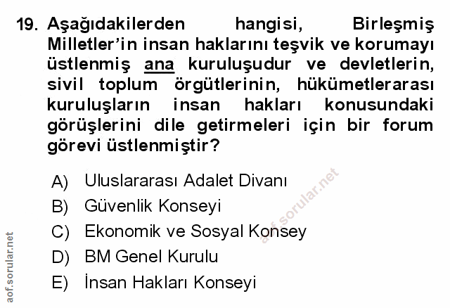 19. soru: Aşağıdakilerden hangisi, Birleşmiş Milletler'in insan haklarını teşvik ve korumayı üstlenmiş ana kuruluşudur ve devle…