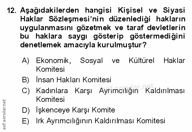 12. soru: Aşağıdakilerden hangisi Kişisel ve Siyasi Haklar Sözleşmesi'nin düzenlediği hakların uygulanmasını gözetmek ve taraf…