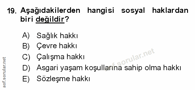 19. soru: Aşağıdakilerden hangisi sosyal haklardan biri değildir? A) Sağlık hakkı B) Çevre hakkı C) Çalışma hakkı D) Asgari yaş…
