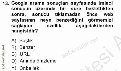 13. soru: Google arama sonuçları sayfasında imleci sonucun üzerinde bir süre beklettikten sonra, sonucu tıklamadan önce web say…