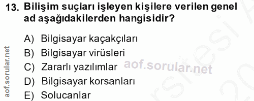 13. soru: Bilişim suçları işleyen kişilere verilen genel ad aşağıdakilerden hangisidir? A) Bilgisayar kaçakçıları B) Bilgisayar…