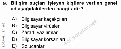 9. soru: Bilişim suçları işleyen kişilere verilen genel ad aşağıdakilerden hangisidir? A) Bilgisayar kaçakçıları Bilgisayar vi…