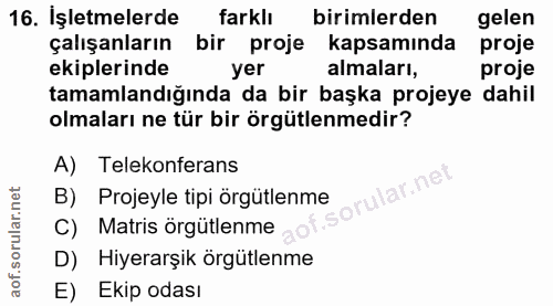 16. soru: İşletmelerde farklı birimlerden gelen çalışanların bir proje kapsamında proje ekiplerinde yer almaları, proje tamamla…