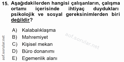 15. soru: Aşağıdakilerden hangisi çalışanların, çalışma ortamı içerisinde ihtiyaç duydukları psikolojik ve sosyal gereksinimler…