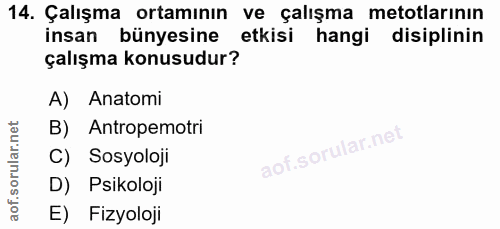 14. soru: Çalışma ortamının ve çalışma metotlarının insan bünyesine etkisi hangi disiplinin çalışma konusudur? A) Anatomi B) An…
