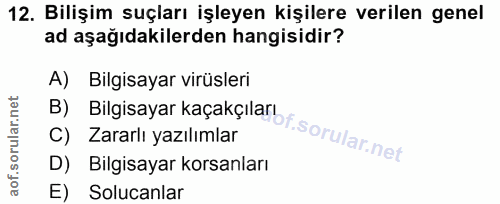 12. soru: Bilişim suçları işleyen kişilere verilen genel ad aşağıdakilerden hangisidir? B) Bilgisayar kaçakçıla of. A) Bilgisay…