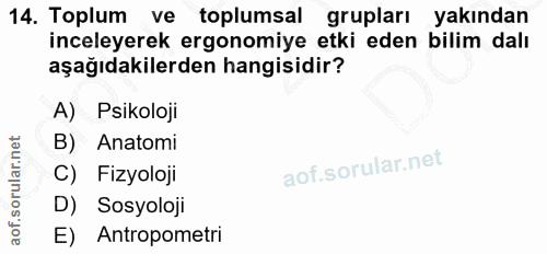 14. soru: Toplum ve toplumsal grupları yakından inceleyerek ergonomiye etki eden bilim dalı aşağıdakilerden hangisidir? A) Psik…