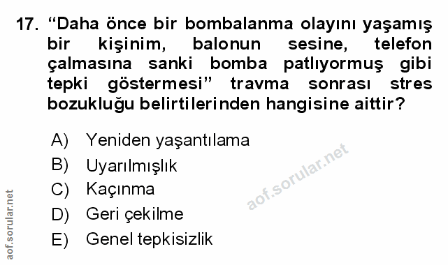 17. soru: "Daha önce bir bombalanma olayını yaşamış bir kişinim, balonun sesine, telefon çalmasına sanki bomba patlıyormuş gibi…