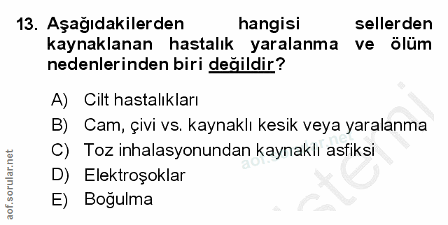 13. soru: Aşağıdakilerden hangisi sellerden kaynaklanan hastalık yaralanma ve ölüm nedenlerinden biri değildir? A) Cilt hastalı…