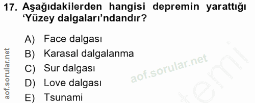 17. soru: Aşağıdakilerden hangisi depremin yarattığı 'Yüzey dalgaları'ndandır? A) Face dalgası B) Karasal dalgalanma C) Sur dal…
