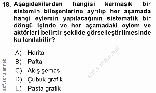 18. soru: Aşağıdakilerden hangisi karmaşık bir sistemin bileşenlerine ayrılıp her aşamada hangi eylemin yapılacağının sistemati…