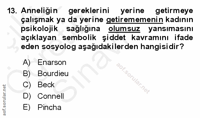 13. soru: Anneligin gereklerini yerine getirmeye çalışmak ya da yerine getirememenin kadının psikolojik sağlığına olumsuz yansı…