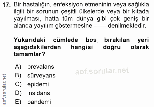 17. soru: Bir hastalığın, enfeksiyon etmeninin veya sağlıkla ilgili bir sorunun çeşitli ülkelerde veya bir kıtada yayılması, ha…