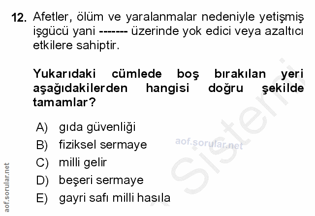 12. soru: Afetler, olüm ve yaralanmalar nedeniyle yetişmiş işgücü yani --- üzerinde yok edici veya azaltıcı etkilere sahiptir.…