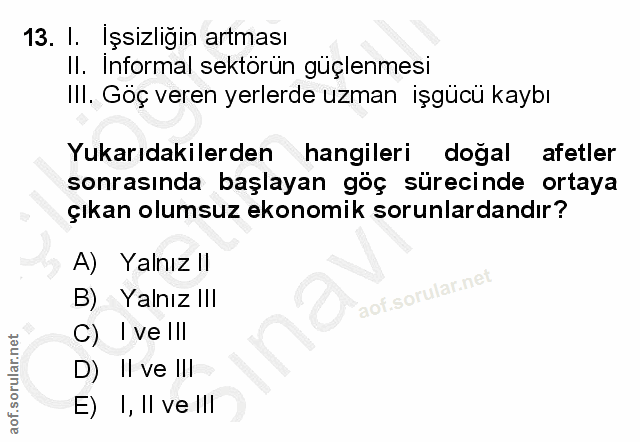 13. soru: I. Işsizligın artması Il. Informal sektörün güçlenmesi III. Göç veren yerlerde uzman işgücü kaybı Yukarıdakilerden ha…