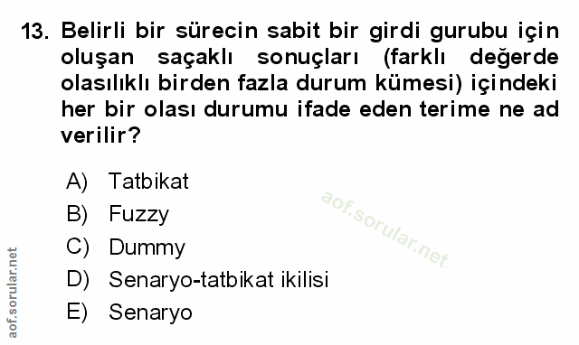 13. soru: Belirli bir sürecin sabit bir girdi gurubu için oluşan saçaklı sonuçları (farklı değerde olasılıklı birden fazla duru…