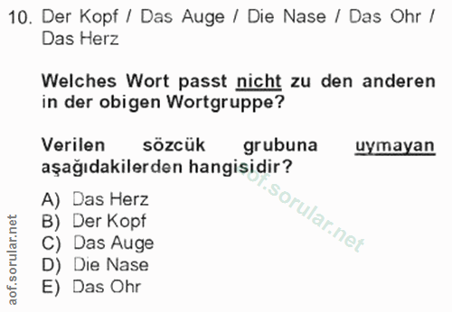 10. soru: Der Kopf / Das Auge / Die Nase / Das Ohr / Das Herz Welches Wort passt nicht zu den anderen in der obigen Wortgruppe?…