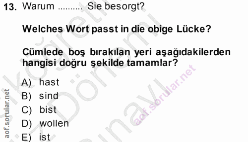 13. soru: Warum Sie besorgt? Welches Wort passt in die obige Lücke? Cümlede boş bırakılan yeri aşağıdakilerden hangisi doğru şe…