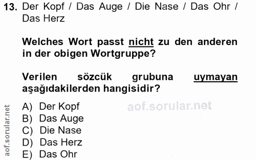 13. soru: Der Kopf / Das Auge / Die Nase / Das Ohr / Das Herz Welches Wort passt nicht zu den anderen in der obigen Wortgruppe?…