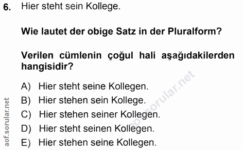 6. soru: Hier steht sein Kollege. Wie lautet der obige Satz in der Pluralform? Verilen cümlenin çoğul hali aşağıdakilerden han…