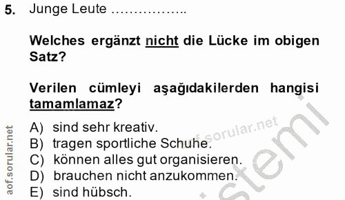 5. soru: Junge Leute ... Welches ergänzt nicht die Lücke im obigen Satz? Verilen cümleyi aşağıdakilerden hangisi tamamlamaz? A…